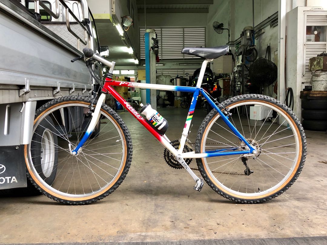 Ritchey Team P 22
