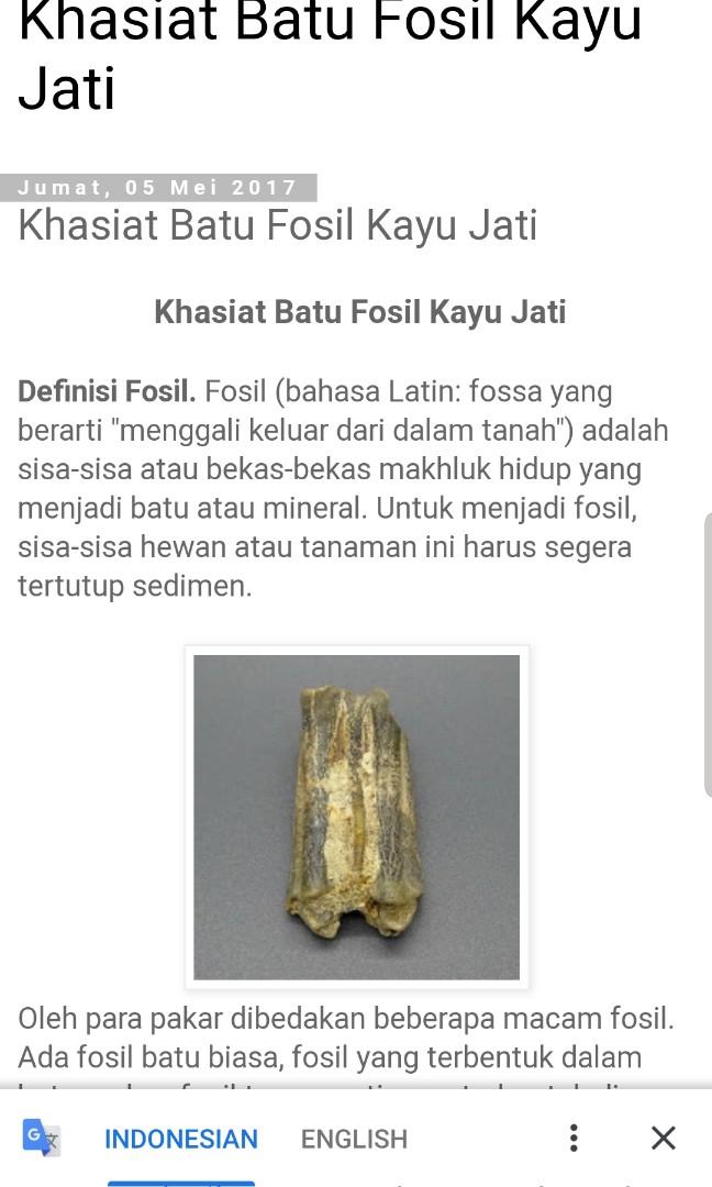 Fossil Teak Wood Fosil Kayu Jati Men S Fashion Watches Accessories Jewelry On Carousell