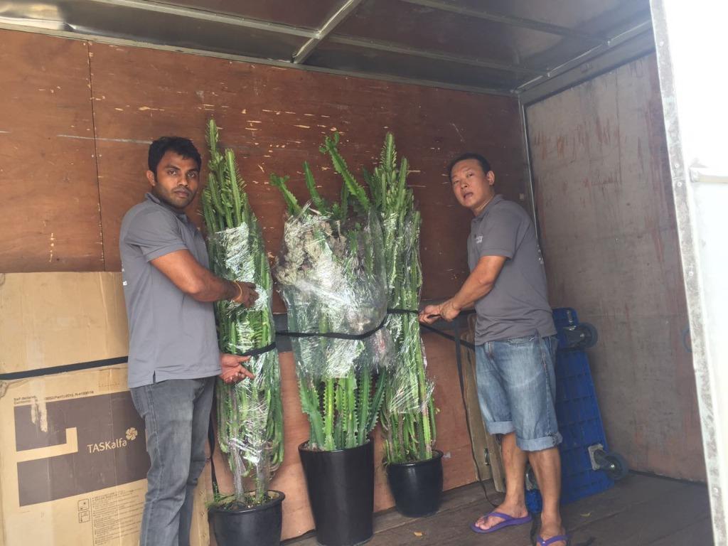 Moving N Relocation Solution (Category: House Moving) located in Singapore. Submitted by mr_sharp (Listing ID 152809094, Image 3). Description: Hi...United Transport & Storage Svcs is a registered Company in Spore and our Movers are absolutely reliable and professional.... United Transport & Storage Scvs (Registered Company ) 9147 4645 / 9890 6767 (Stan) Add: 50 Gambas Cres #8-13 (Proxima) Kindly Email to: Sales@unitedtransport.com.sg Http:// www