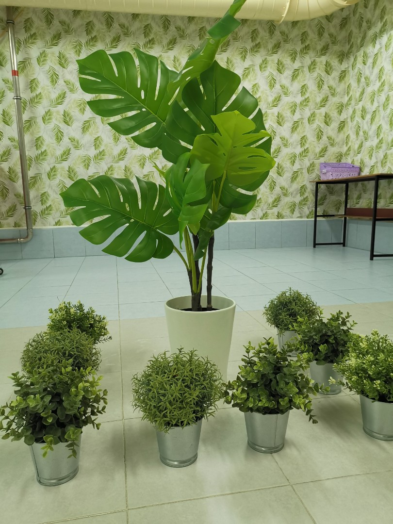 Artificial Plant Set For Sale At Only 68 Furniture Home Living   Artificial Plant Set For Sale At Only 68 1578554462 6709c4b3 