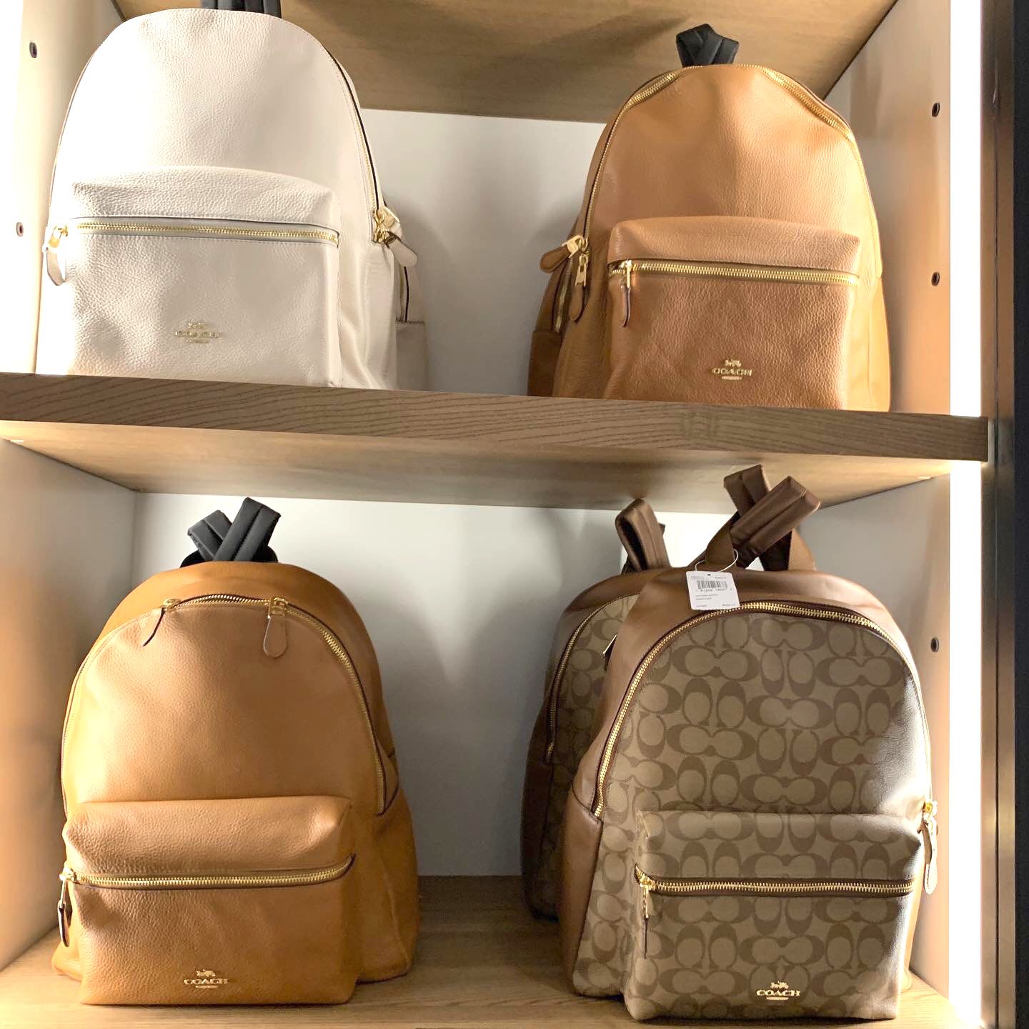 Coach charlie large backpack clearance