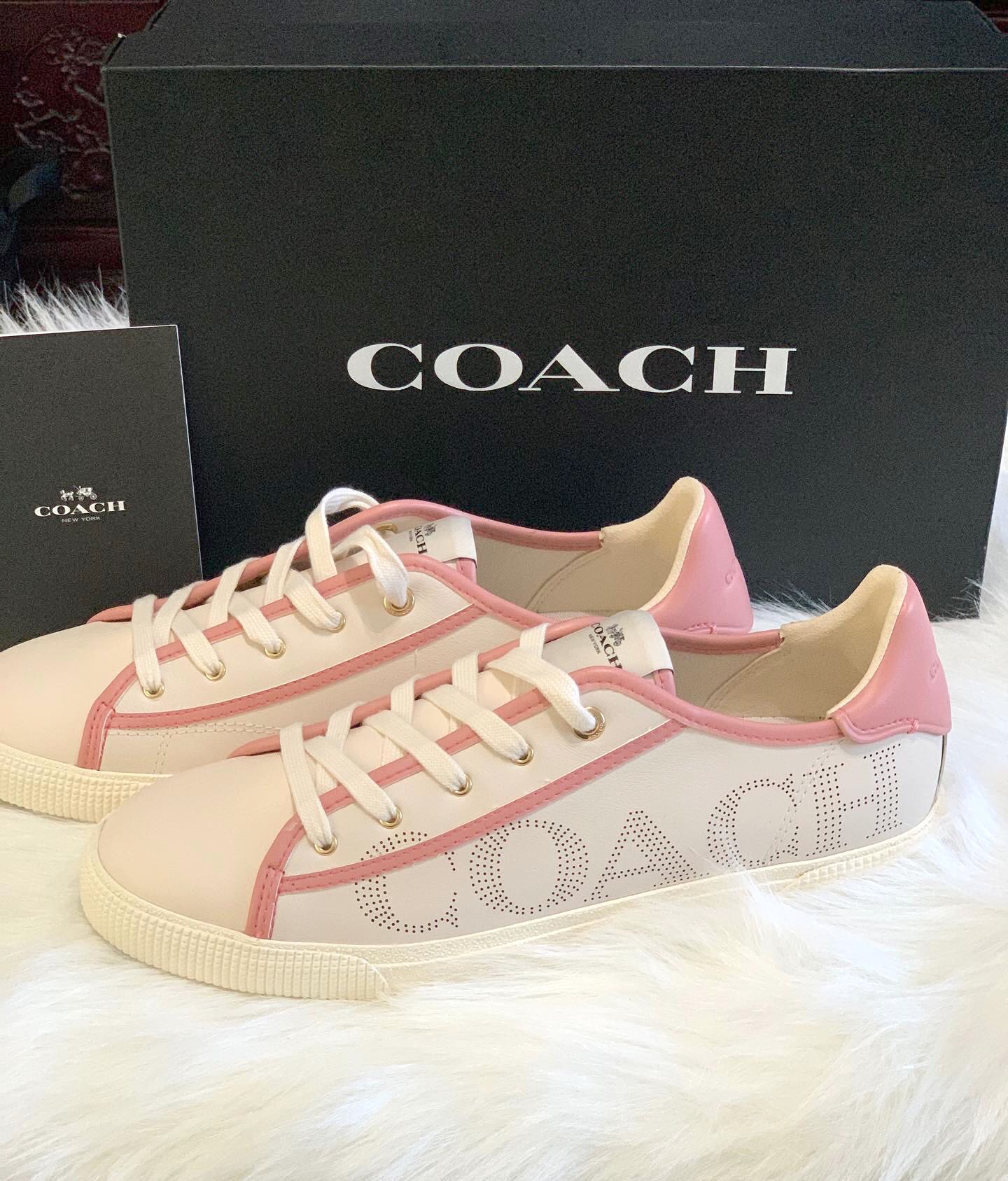Coach sneakers usa on sale