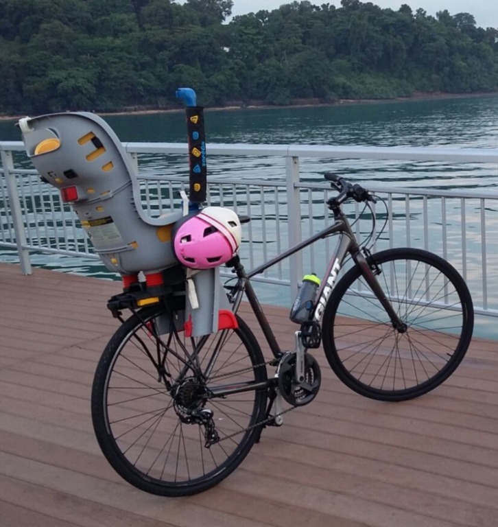 Giant Escape 3 with Topeak Child Seat For Sale Sports Equipment
