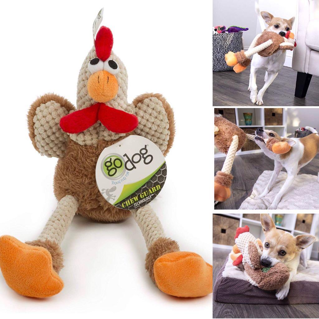 Checkers pet accessories 2025