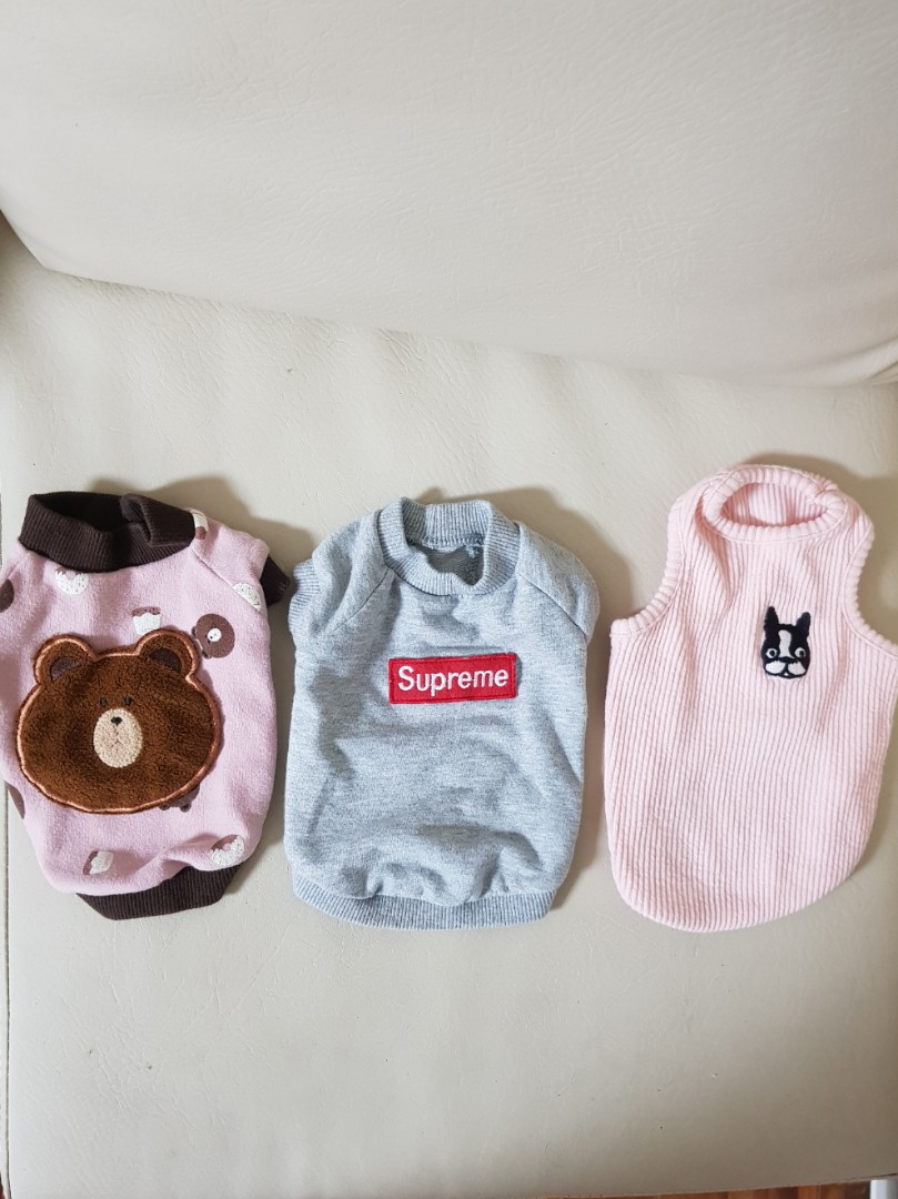 Cute Korean dog clothes, Pet Supplies, Homes & Other Pet Accessories on