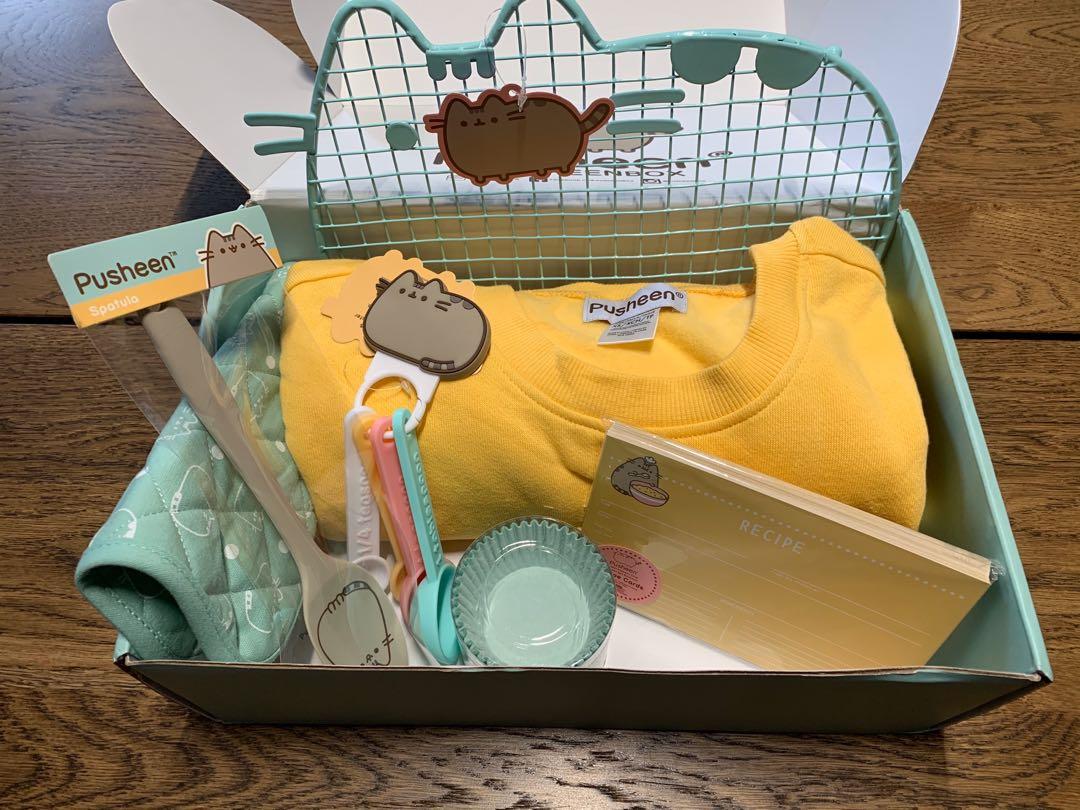 Pusheen Winter Box 2019 Toys Games Others On Carousell