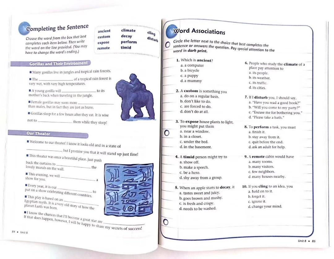 Vocabulary Workshop 5 Books Books Stationery Children S