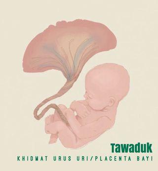 Khidmat urus uri/placenta bayi