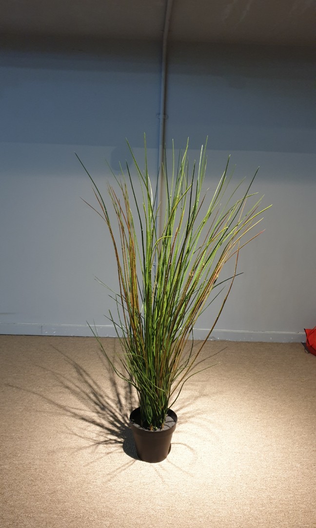Artificial Plant (floor standing), Everything Else on Carousell