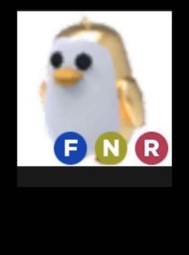 Roblox Adopt Me Nfr Parrot