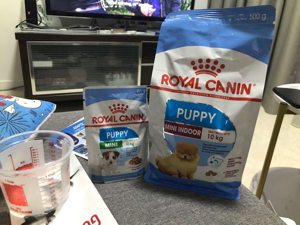 Royal Canin Mini Puppy Food Babies Kids Nursing Feeding On Carousell