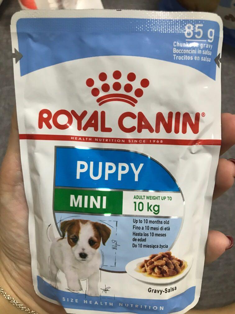 Royal Canin Mini Puppy Food Babies Kids Nursing Feeding On Carousell