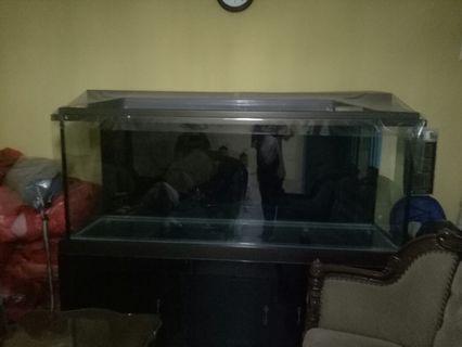 Tank aquarium arwana
