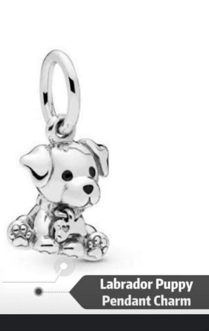 pandora charm labrador pandora charm labrador