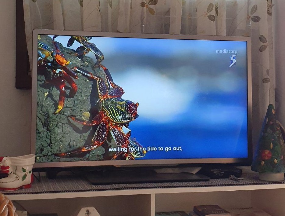 Philips 40PFL5007K/12 40"/102cm LED Full HD Smart TV + Taurus HD-200 Digital  TV Antenna with Screen Cleaning Kit, Home Appliances, TVs & Entertainment  Systems on Carousell