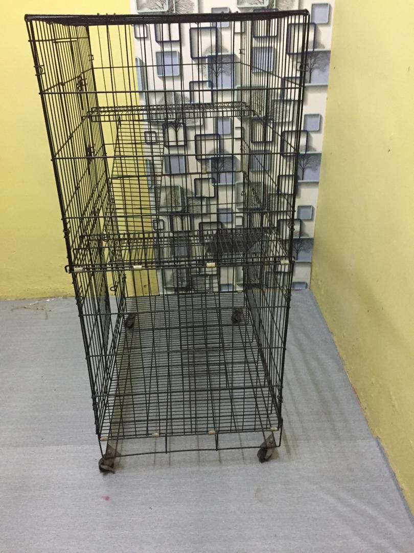 Sangkar Kucing, Pet Supplies, Pet Accessories on Carousell