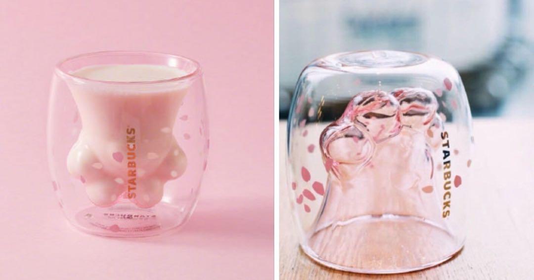 Starbucks Cat Paw Mug Home Appliances Kitchenware On Carousell