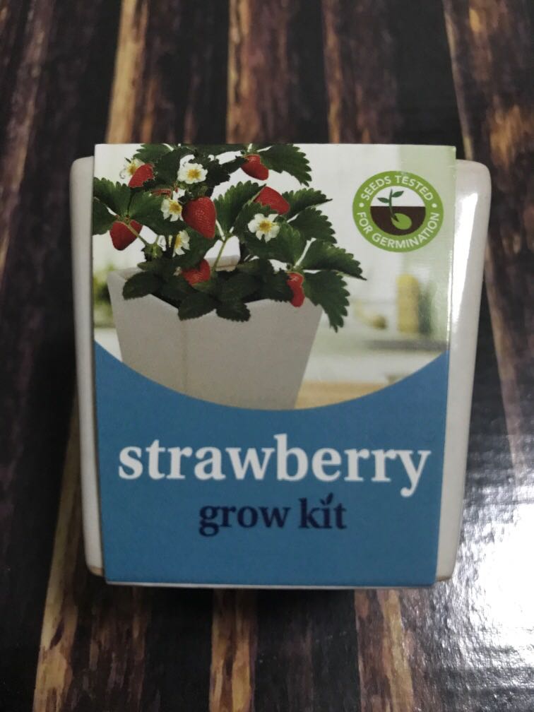 Strawberry Grow Kit, Furniture & Home Living, Gardening, Plants & Seeds