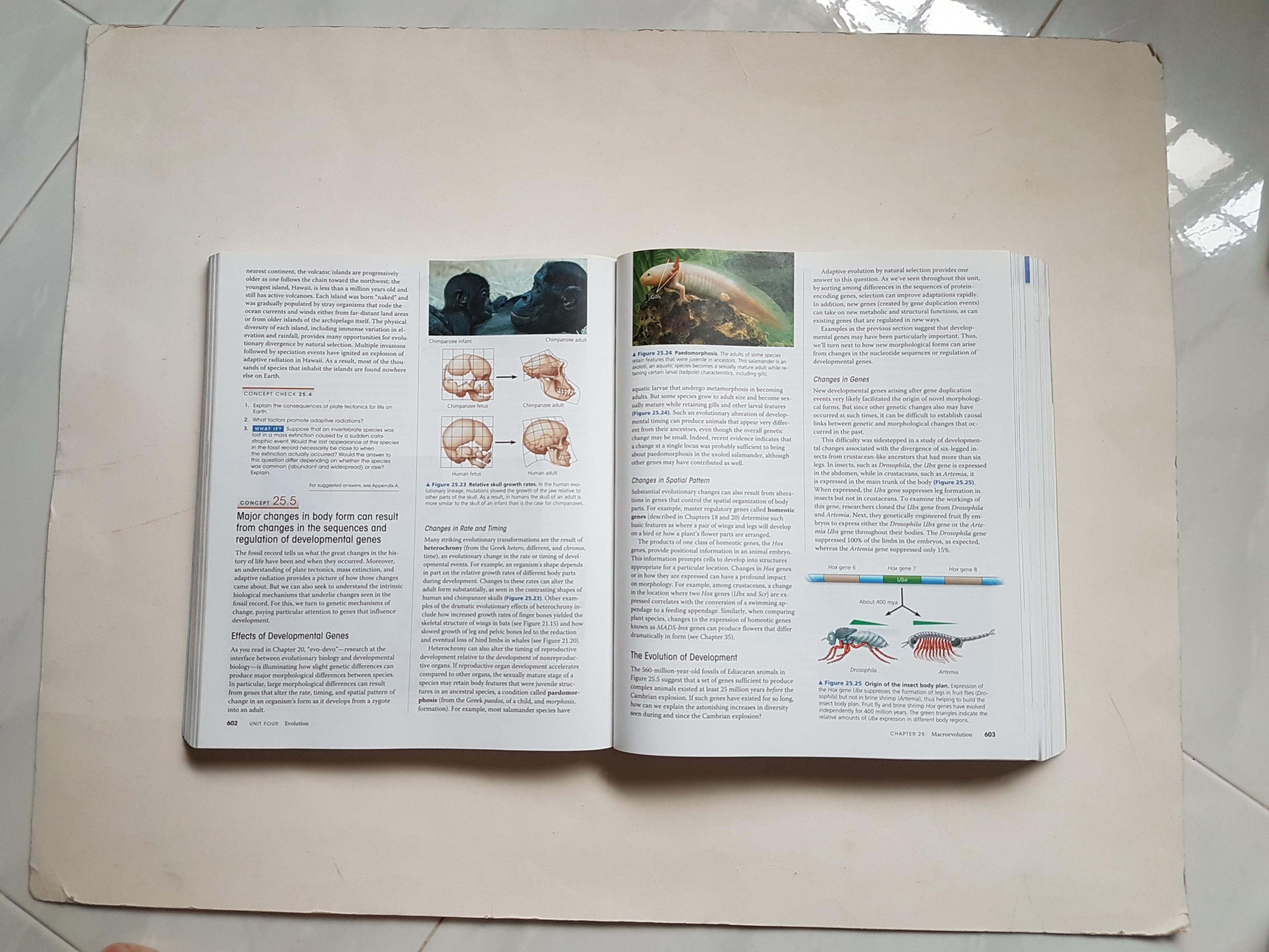 BIOLOGY: A GLOBAL APPROACH, Hobbies & Toys, Books & Magazines