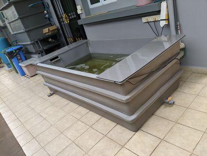 Grey Fiberglass Fish Tank 8ft X 4ft X 2 5ft