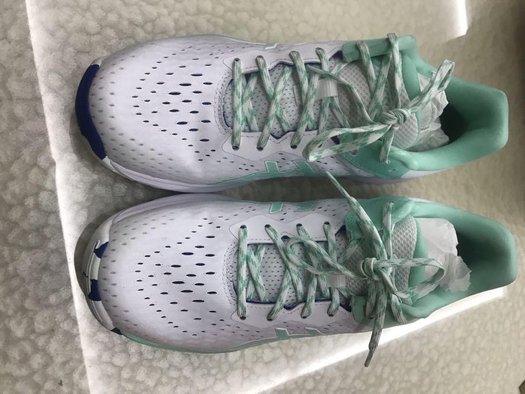 netburner professional ff 2