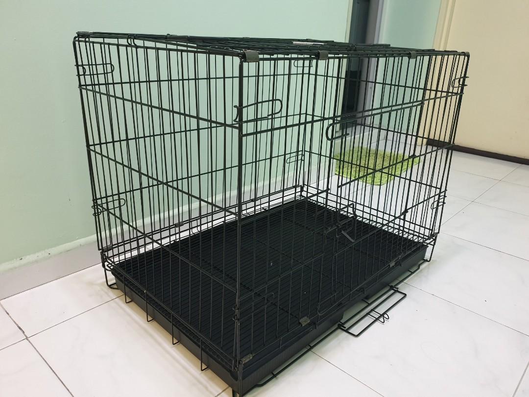 coloured dog cages
