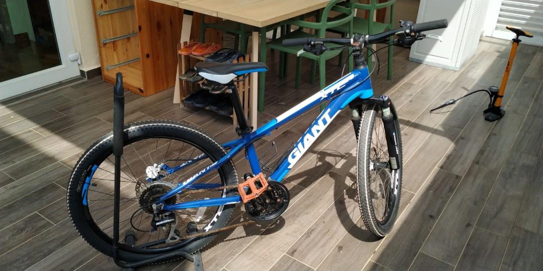 Xtc sl best sale jr 24