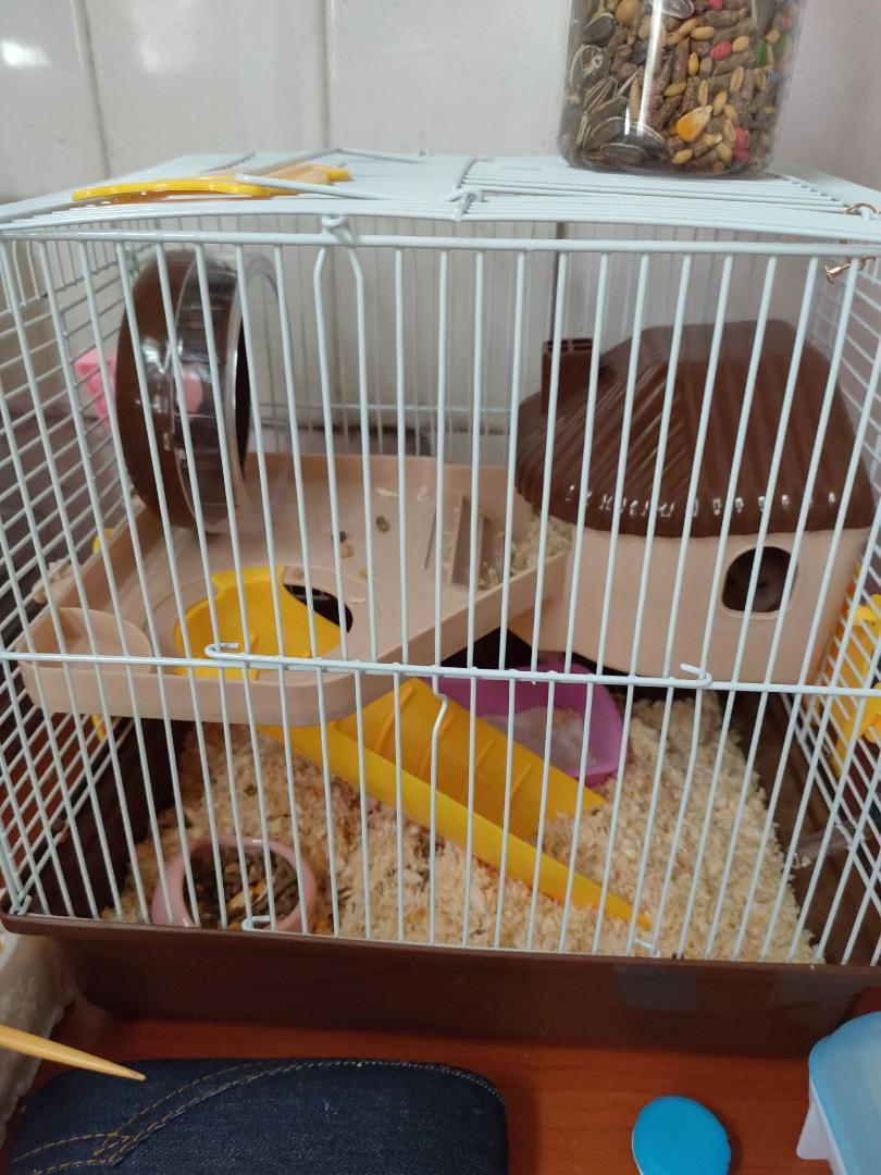 second hand hamster cage