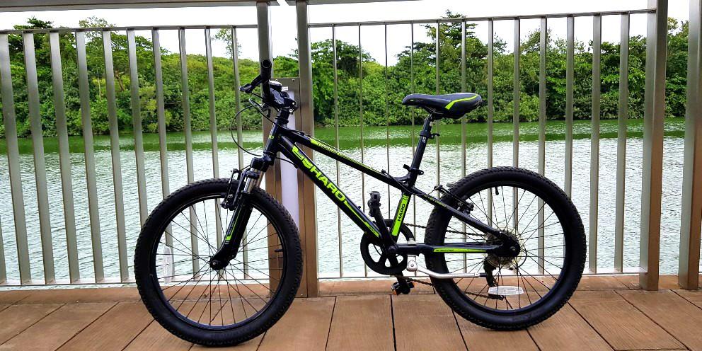 haro flightline 19