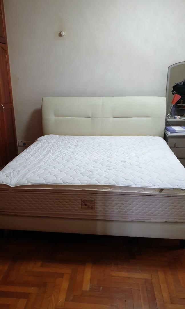 Sealy posturepedic sales sapphire collection