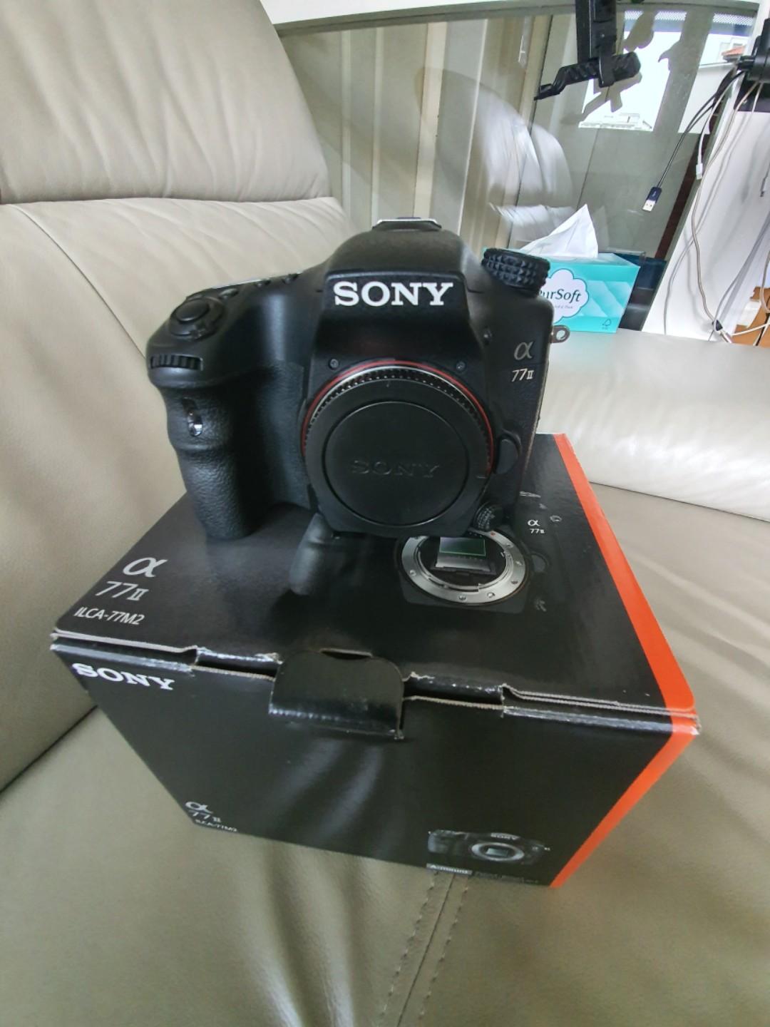 sony 77m2