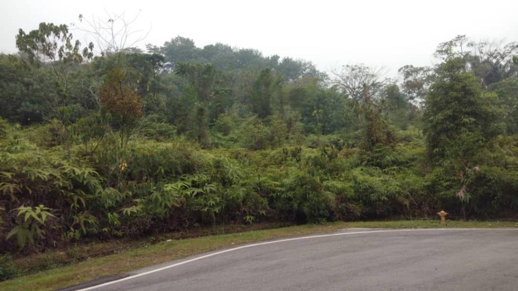Tanah Bungalow Lot Antara Gapi Serendah Selangor Property For Sale On Carousell