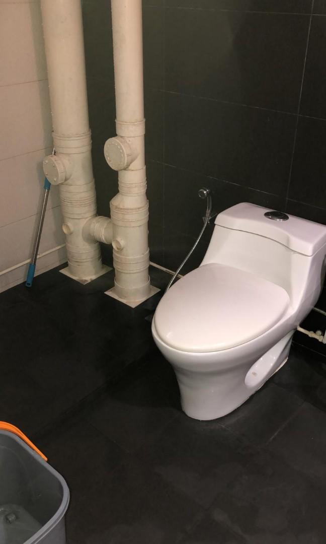 Toilet Pressure Jetting Acid Wash Home Services Home Cleaning On Carousell