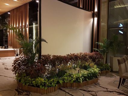 (Category: ) located in . Submitted by eventnlandscape (Listing ID 266005366, Image 1). Description: .