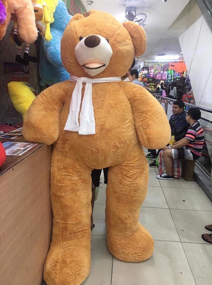 8ft stuffed shop bear