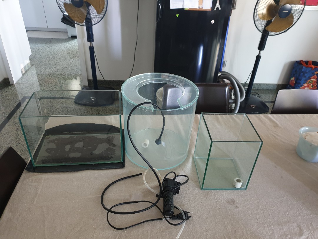 Fish tank for kids, Pet Supplies, Homes & Other Pet Accessories on