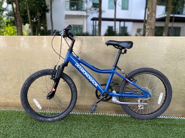 diamondback octane complete youth bike