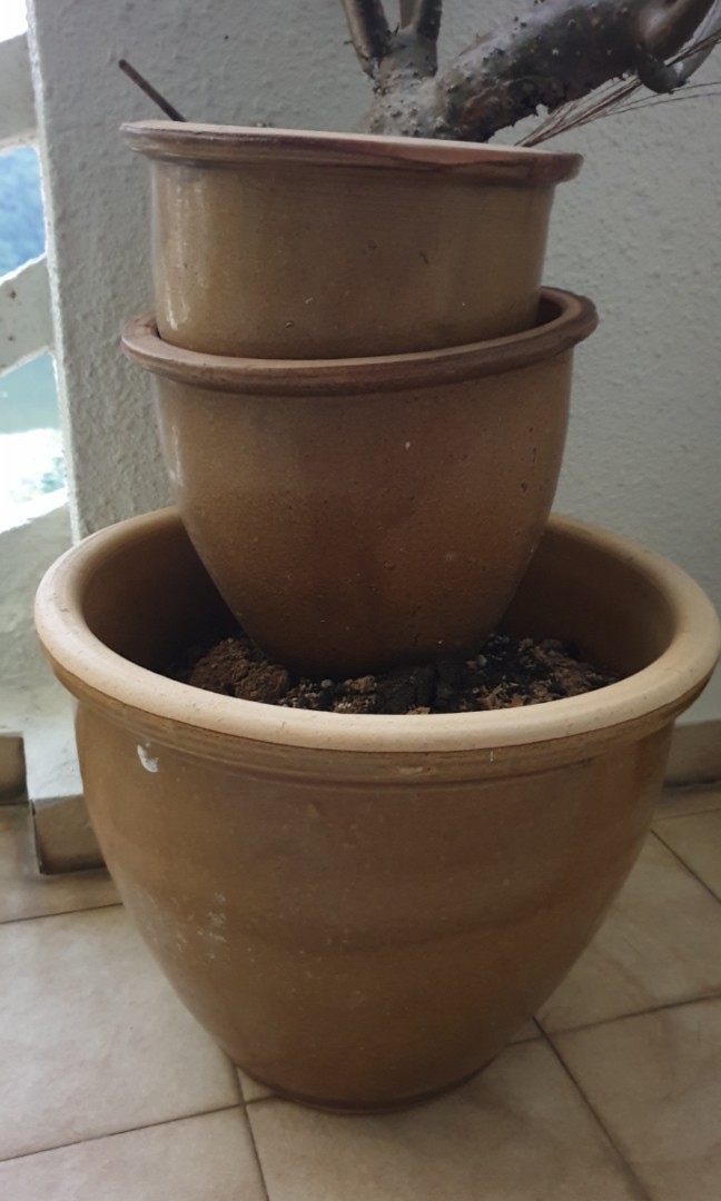 Flower Pots to give away FREE, Furniture & Home Living, Gardening, Pots