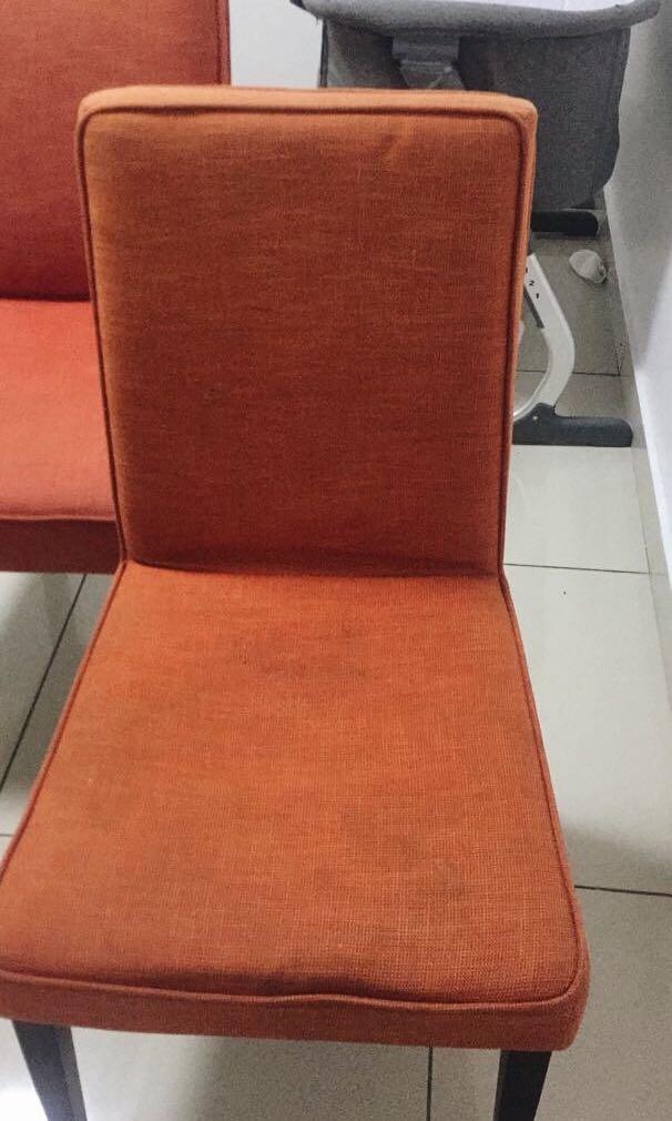 Harvey Norman Dining Chairs, Home & Furniture, Furniture on Carousell