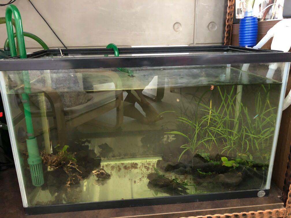 A Cheat Sheet To Fish Tank Gallon Sizes And Dimensions