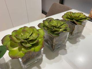 Artificial Decorative Plants