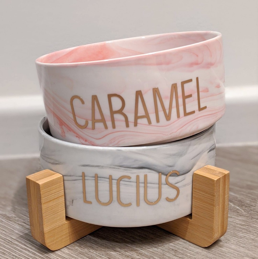 Customized Pet Bowl in Marble|Perfect for Birthdays
