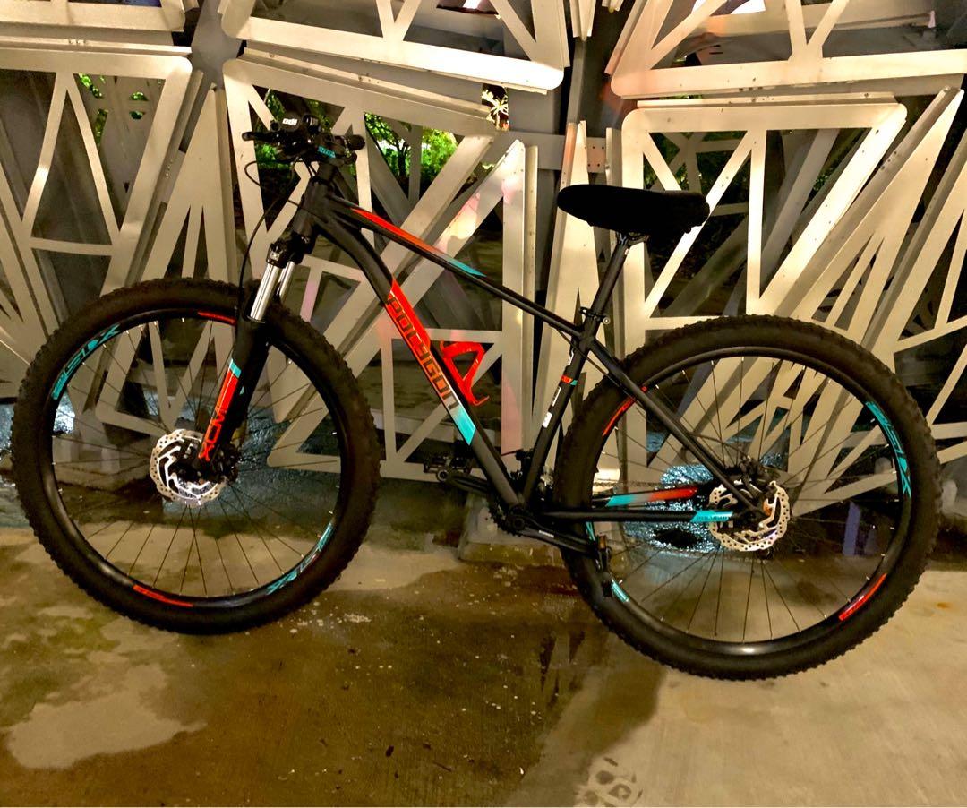 polygon 29er