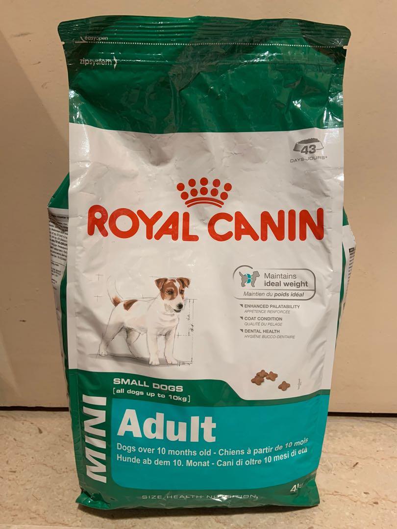 Royal Canin Adult Mini 4kg Pet Supplies For Dogs Dog Food On Carousell