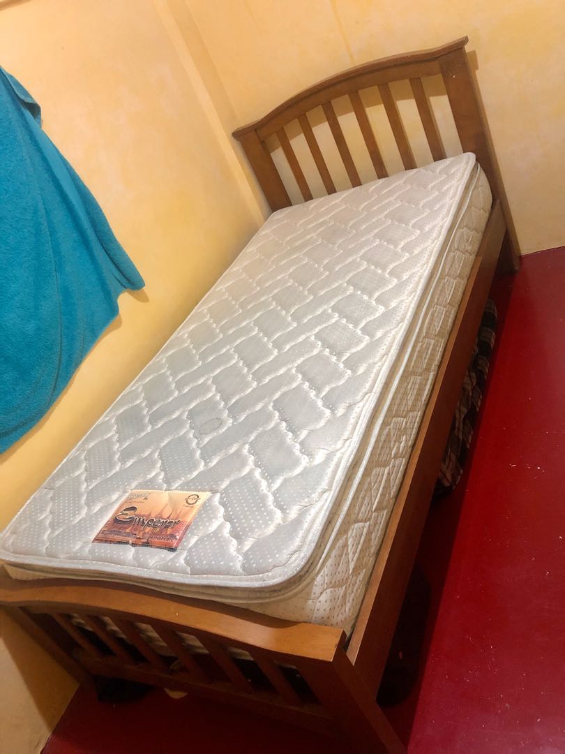 Single Orthopedic Bed Furniture Home Living Furniture Bed