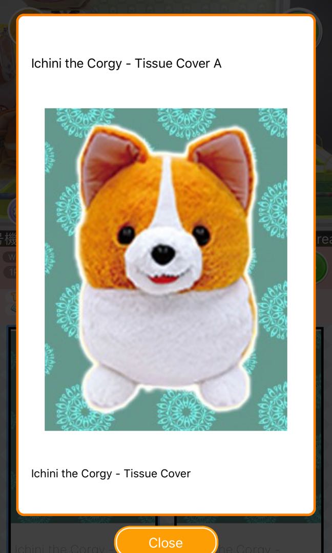 ichini corgi