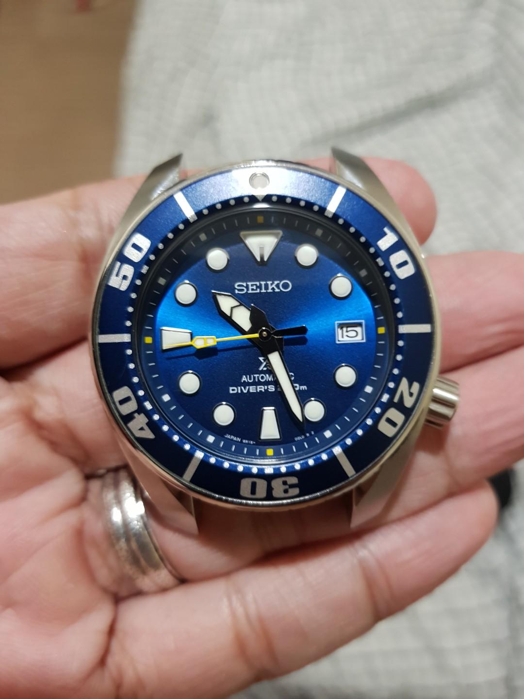 Sumo deals blue coral