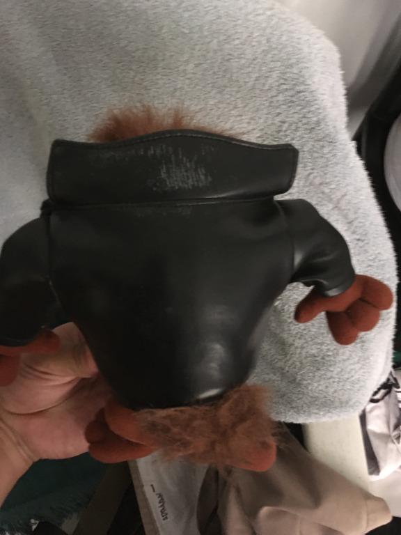 Tazmanian Devil looney tunes stuff toy Authentic 1995 (Category: Plushies & Soft Toys) located in Manila. Submitted by showboat (Listing ID 273986398, Image 3). Description: Old authentic 1995 stuff toy of warmer brothers Tasmanian devil in leather jacket. Rare please respect the ads. Noone is forcing..