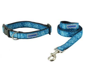 teal dog collar