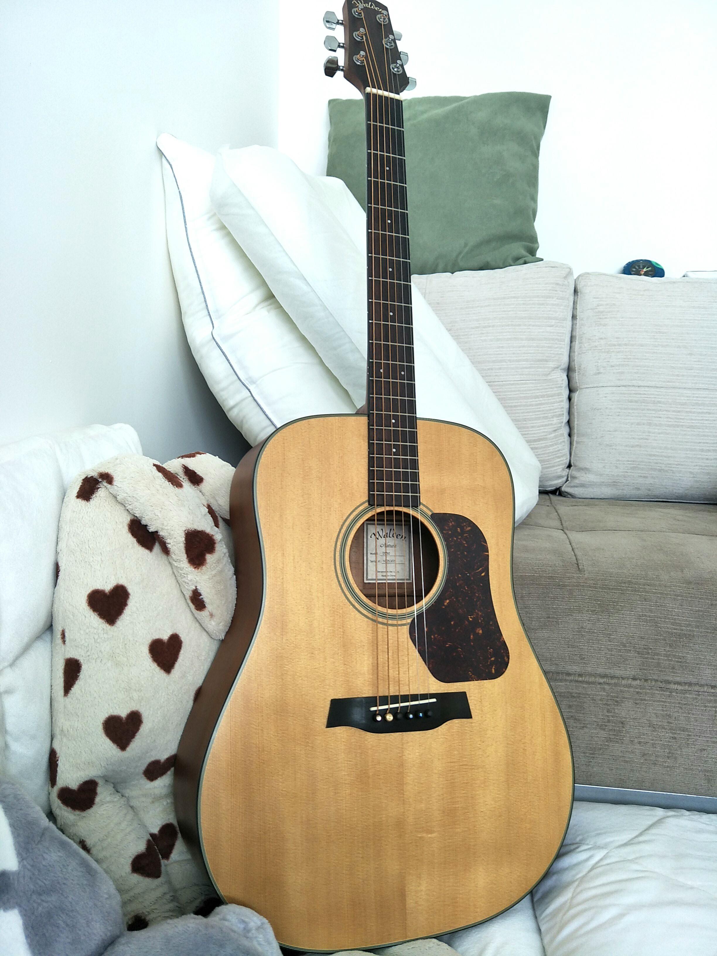 Walden top d550 price